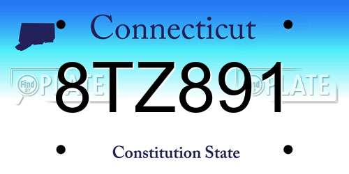 8TZ891 Connecticut License Plate