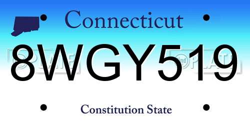 8WGY519 Connecticut License Plate