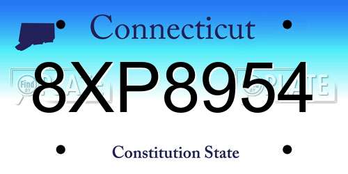 8XP8954 Connecticut License Plate