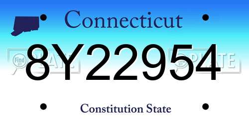 8Y22954 Connecticut License Plate