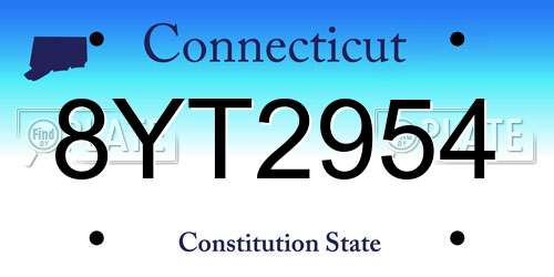 8YT2954 Connecticut License Plate