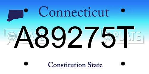 A89275T Connecticut License Plate