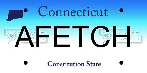 AFETCH Connecticut License Plate