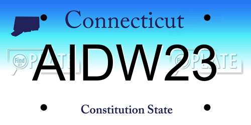 AIDW23 Connecticut License Plate