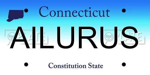 AILURUS Connecticut License Plate