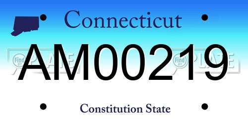 AM00219 Connecticut License Plate
