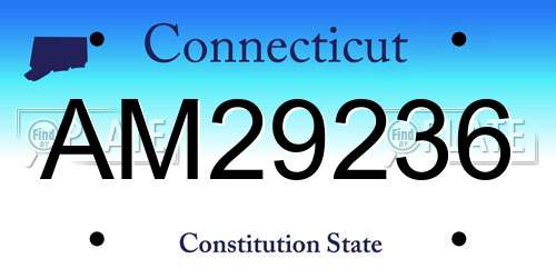 AM29236 Connecticut License Plate