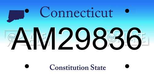 AM29836 Connecticut License Plate