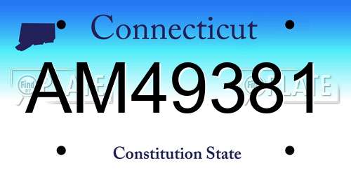 AM49381 Connecticut License Plate
