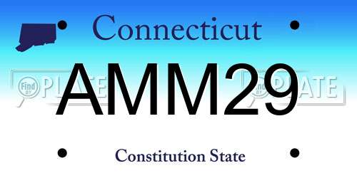 AMM29 Connecticut License Plate