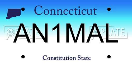 AN1MAL Connecticut License Plate