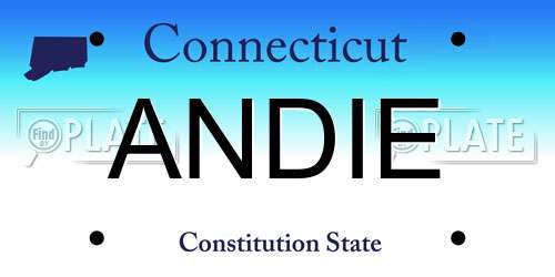 ANDIE Connecticut License Plate