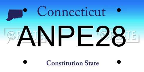 ANPE28 Connecticut License Plate