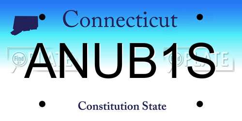 ANUB1S Connecticut License Plate