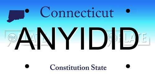 ANYIDID Connecticut License Plate