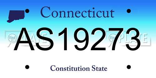 AS19273 Connecticut License Plate