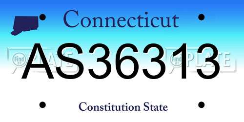 AS36313 Connecticut License Plate