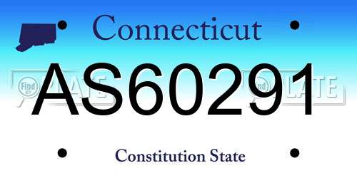 AS60291 Connecticut License Plate