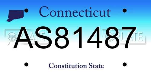 AS81487 Connecticut License Plate
