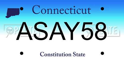 ASAY58 Connecticut License Plate