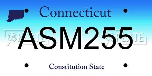 ASM255 Connecticut License Plate
