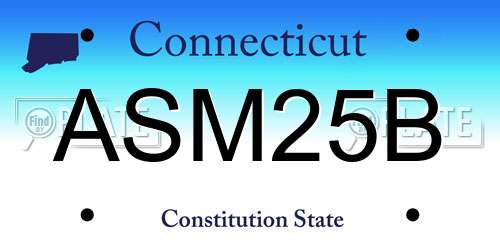 ASM25B Connecticut License Plate