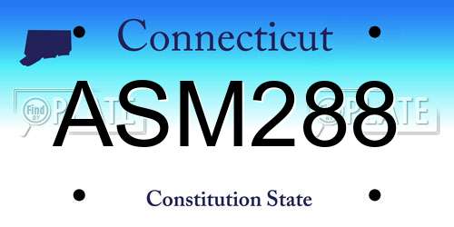 ASM288 Connecticut License Plate