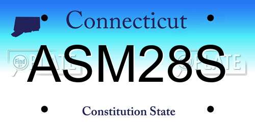 ASM28S Connecticut License Plate