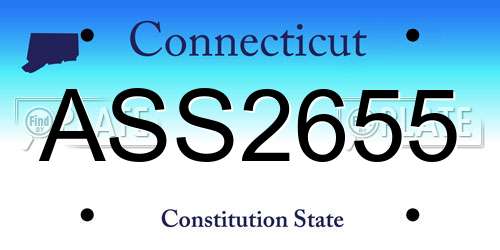 ASS2655 Connecticut License Plate