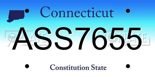 ASS7655 Connecticut License Plate