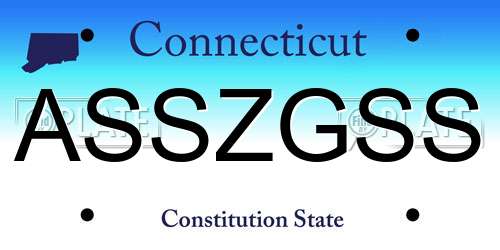 ASSZGSS Connecticut License Plate