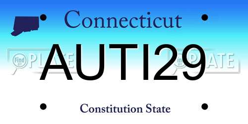 AUTI29 Connecticut License Plate