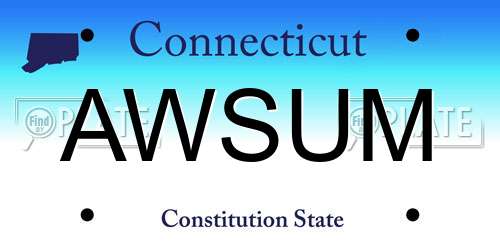 AWSUM Connecticut License Plate