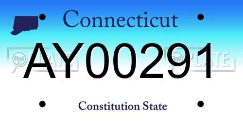 AY00291 Connecticut License Plate