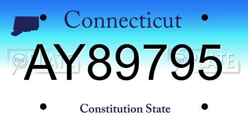 AY89795 Connecticut License Plate