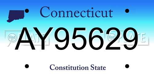 AY95629 Connecticut License Plate