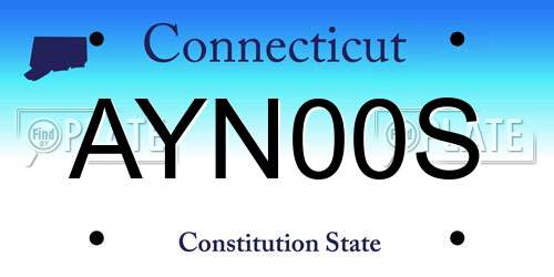 AYN00S Connecticut License Plate