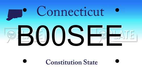 B00SEE Connecticut License Plate