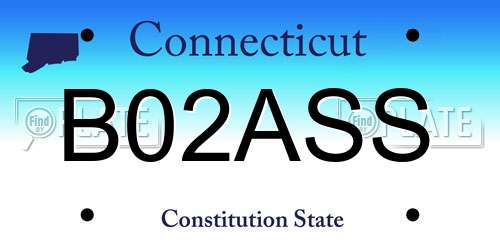 B02ASS Connecticut License Plate