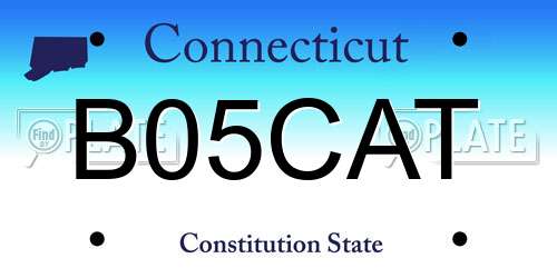 B05CAT Connecticut License Plate