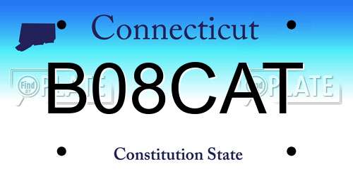 B08CAT Connecticut License Plate