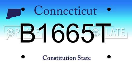 B1665T Connecticut License Plate