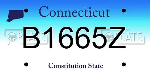 B1665Z Connecticut License Plate