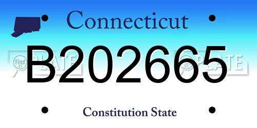 B202665 Connecticut License Plate
