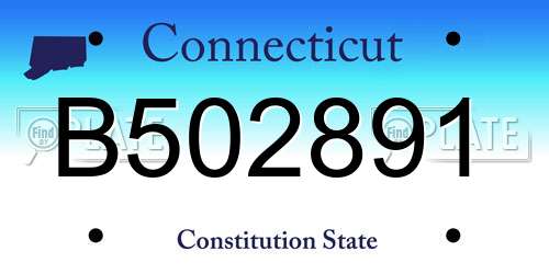 B502891 Connecticut License Plate