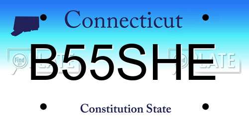B55SHE Connecticut License Plate