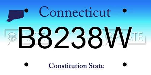 B8238W Connecticut License Plate