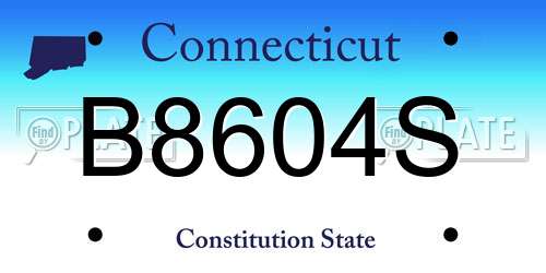 B8604S Connecticut License Plate