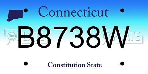 B8738W Connecticut License Plate