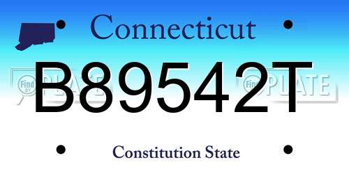 B89542T Connecticut License Plate